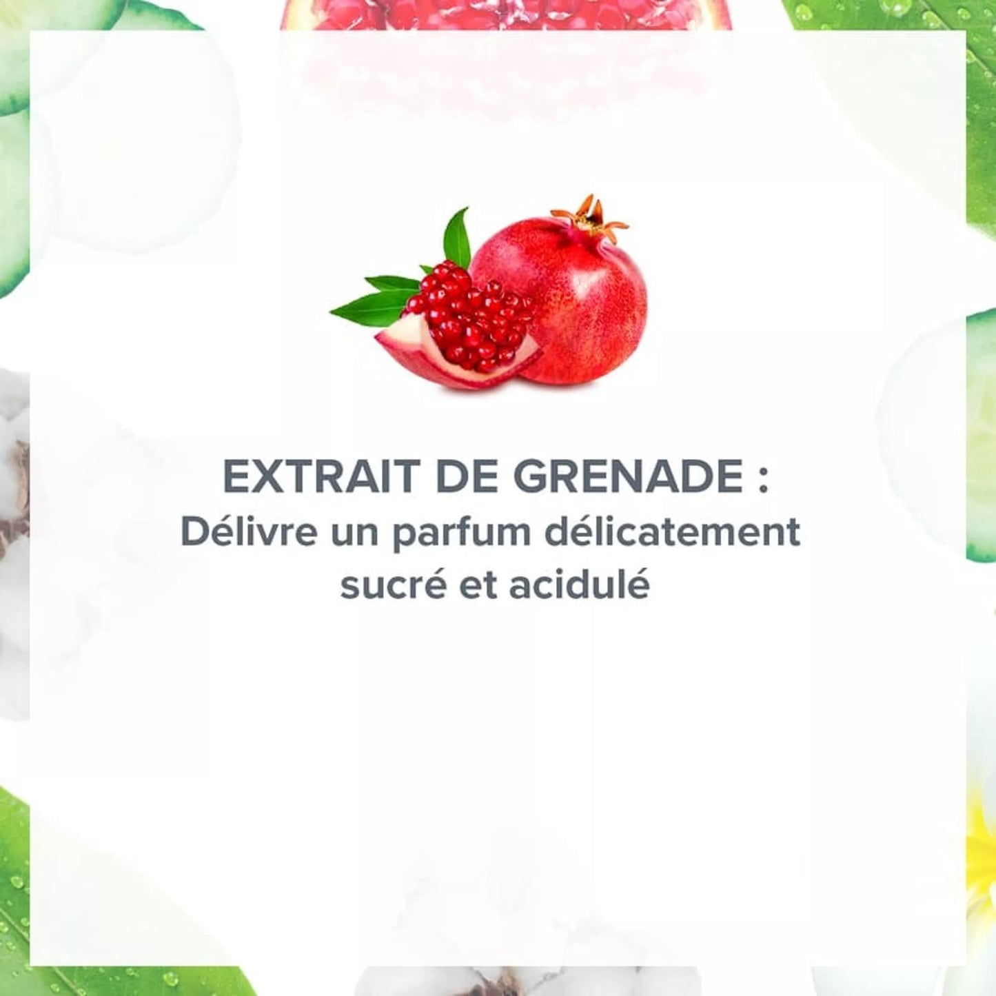 Déodorant 24H Énergisant ~ Grenade Acidulée 200ml